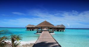 Discover Paradise: 10 Stunning Tropical Bungalows to Escape To