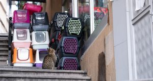 Discover Unique Container Homes: Your Next Travel Adventure Awaits!