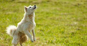 10 Hotel Room Upgrade Tricks You Need to Know for Your Next Stay