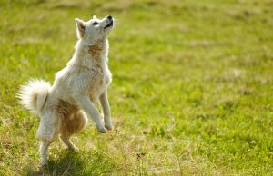 10 Hotel Room Upgrade Tricks You Need to Know for Your Next Stay