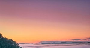 Discover the Best Vineyard Stays for an Unforgettable Getaway