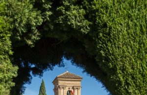 Top Budget Hostels in San Francisco for Affordable Travel