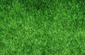 Discover Eco-Friendly Rooms: Your Guide to Sustainable Stays