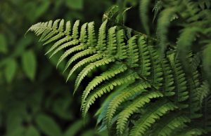 Unforgettable Ziplining in the Rainforest: A Thrilling Adventure