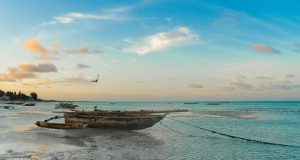 Discover the Best Beaches in Zanzibar: Your Ultimate Travel Guide
