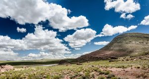 Top 7 Desert Escapes in Arizona for Your Next Adventure