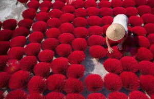 Discover the Best Cultural Tours in Vietnam: A Traveler’s Guide