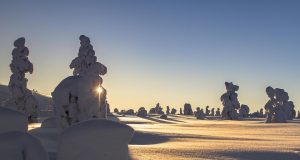 Unforgettable Winter Trips to Lapland: Your Ultimate Guide
