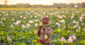 Discover the Enchanting Floating Villages in Cambodia: A Unique Adventure