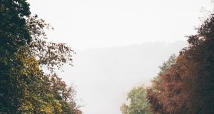 Top 10 Unforgettable Road Trips in Madagascar You Must Experience