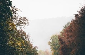 Top 10 Unforgettable Road Trips in Madagascar You Must Experience