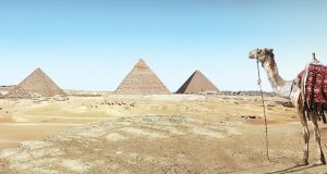 Unforgettable Desert Camps in the Sahara: Your Ultimate Guide