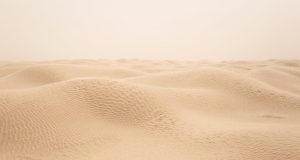 Discover the Charm of Traditional Stays in Tunisia: A Unique Escape